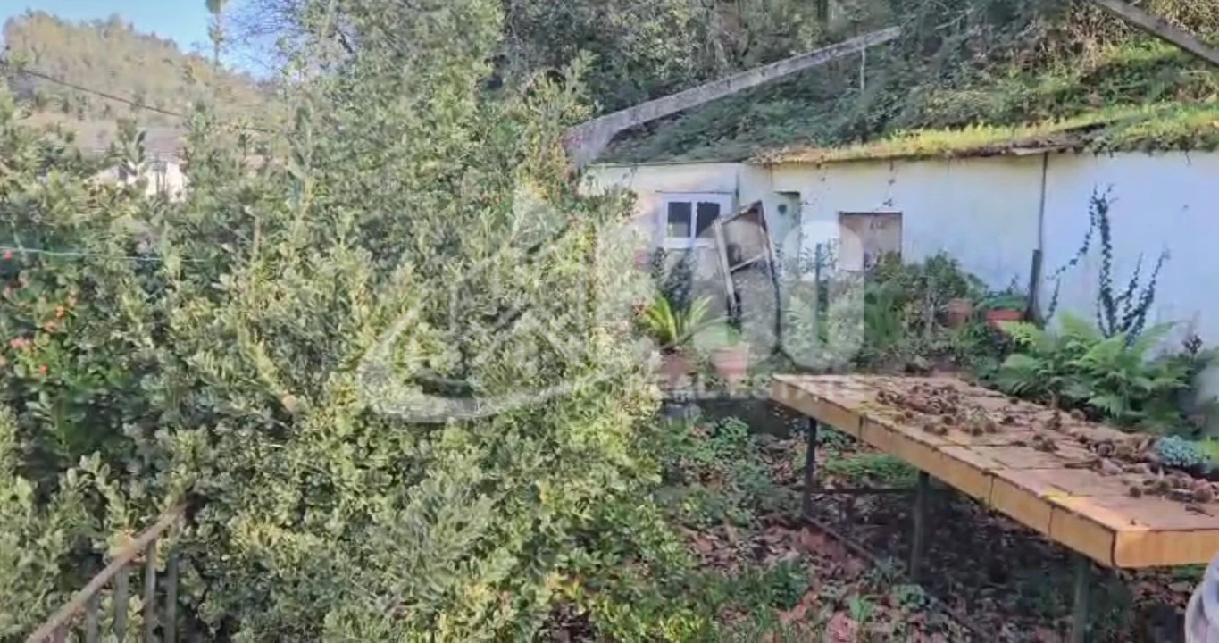 Quinta para Venda em Melres e Medas Foto 4