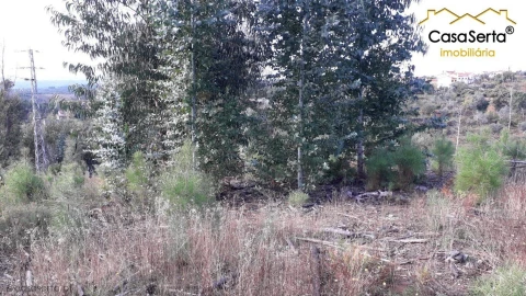Terreno para Venda em Sertã