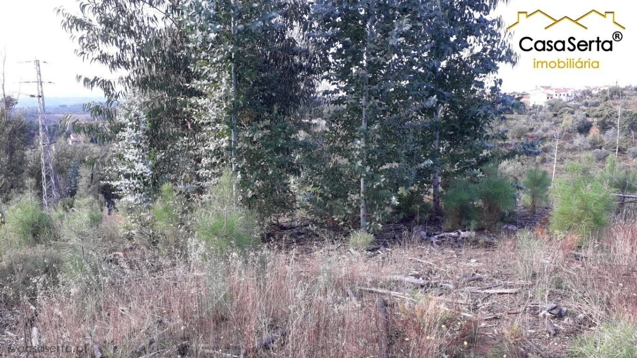 Terreno para Venda em Sertã Foto 1