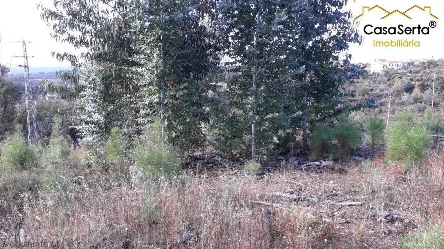 Terreno para Venda em Sertã