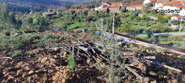Terreno para Venda em Ermida e Figueiredo