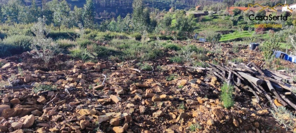 Terreno para Venda em Ermida e Figueiredo