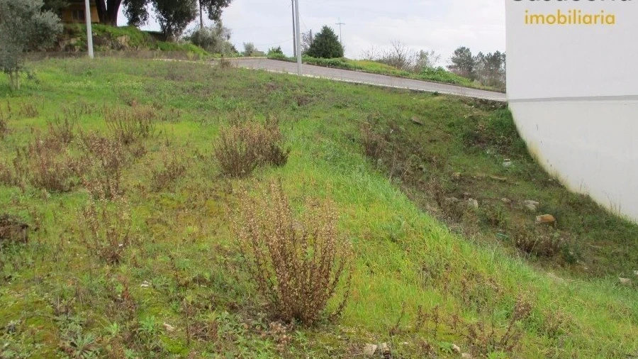 Terreno para Venda em Pedrogão Grande