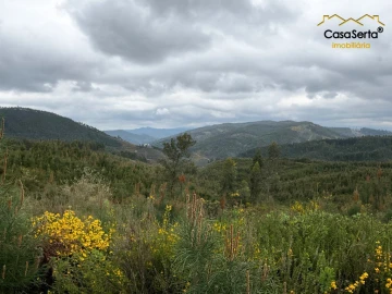 Terreno para Venda em Cernache do Bonjardim, Nesperal e Palhais