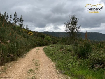 Terreno para Venda em Cernache do Bonjardim, Nesperal e Palhais