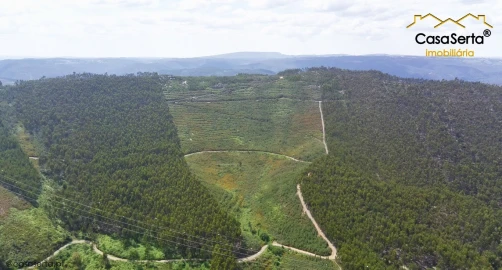 Terreno para Venda em Cernache do Bonjardim, Nesperal e Palhais
