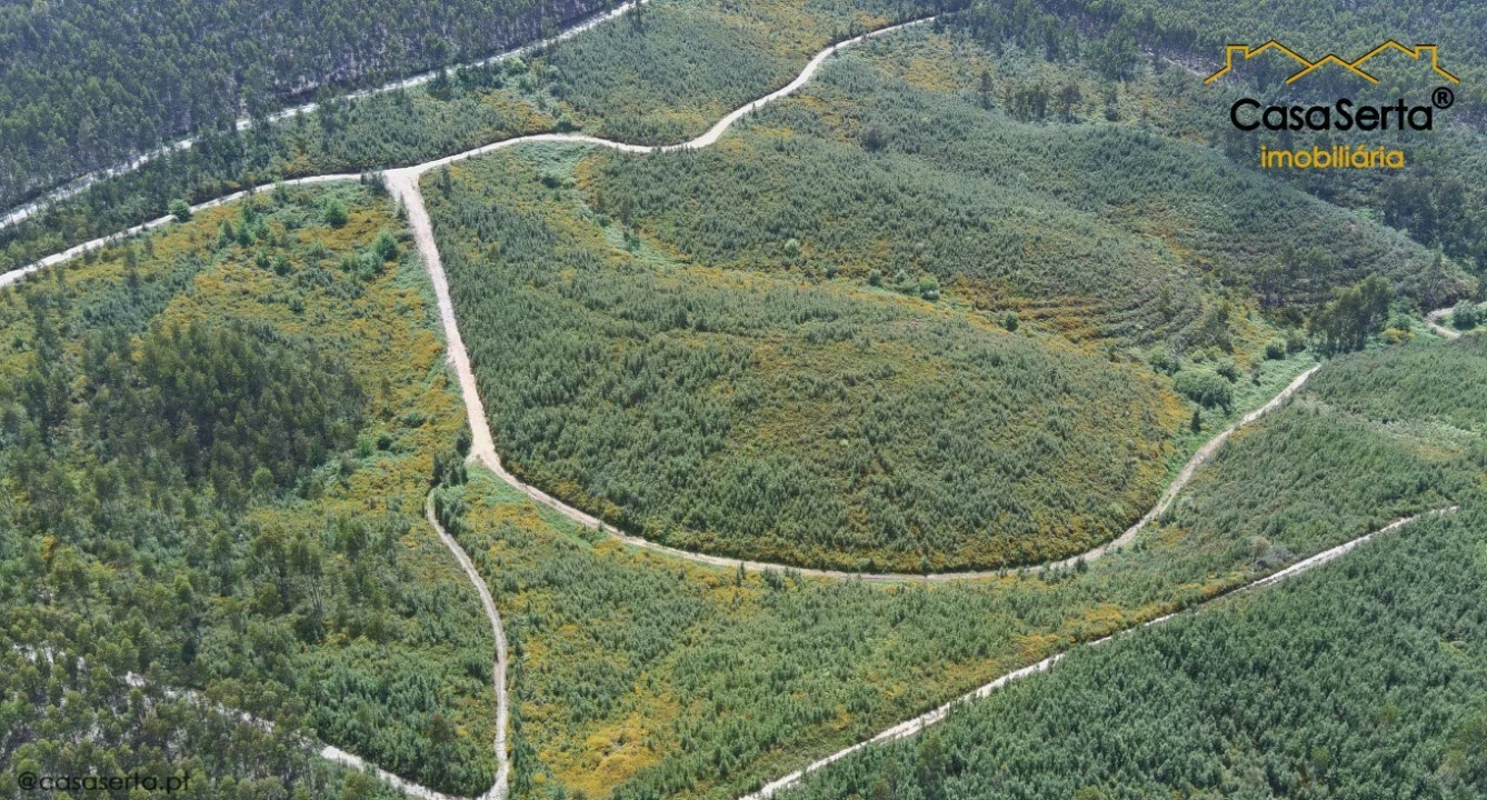 Terreno para Venda em Cernache do Bonjardim, Nesperal e Palhais Foto 4