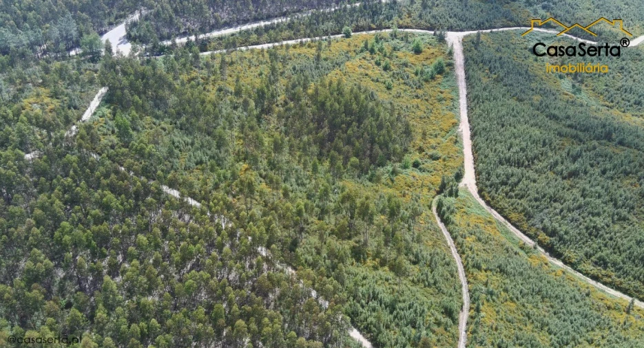 Terreno para Venda em Cernache do Bonjardim, Nesperal e Palhais Foto 6