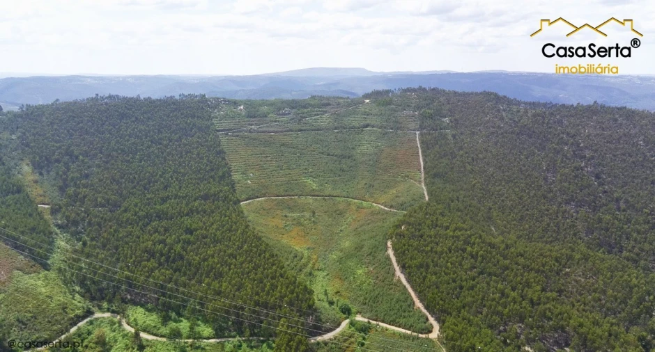 Terreno para Venda em Cernache do Bonjardim, Nesperal e Palhais Foto 5