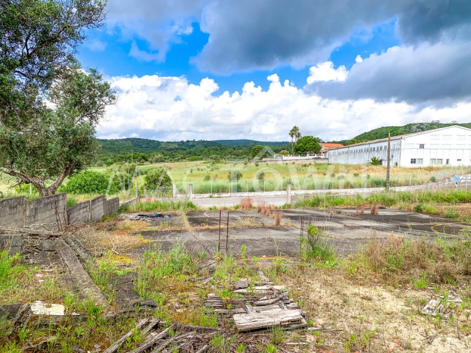 Terreno para Venda em Alcanena e Vila Moreira Foto 1