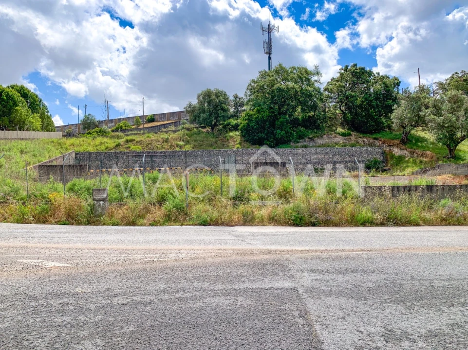 Terreno para Venda em Alcanena e Vila Moreira Foto 3