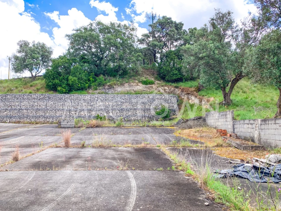 Terreno para Venda em Alcanena e Vila Moreira Foto 4