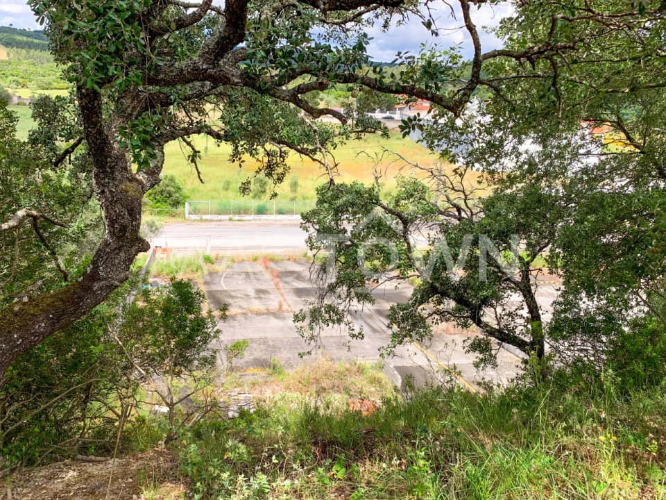 Terreno para Venda em Alcanena e Vila Moreira Foto 19