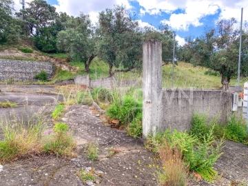 Terreno para Venda em Alcanena e Vila Moreira