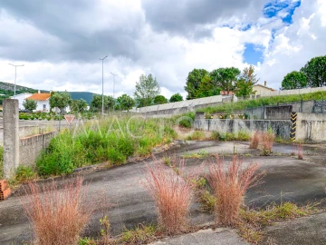 Terreno para Venda em Alcanena e Vila Moreira