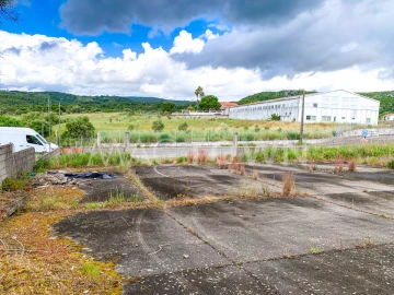 Terreno para Venda em Alcanena e Vila Moreira