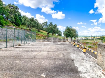 Terreno para Venda em Alcanena e Vila Moreira