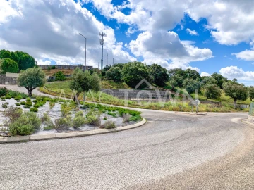 Terreno para Venda em Alcanena e Vila Moreira