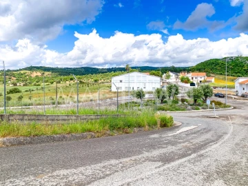 Terreno para Venda em Alcanena e Vila Moreira