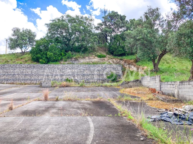 Terreno para Venda em Alcanena e Vila Moreira Foto 4