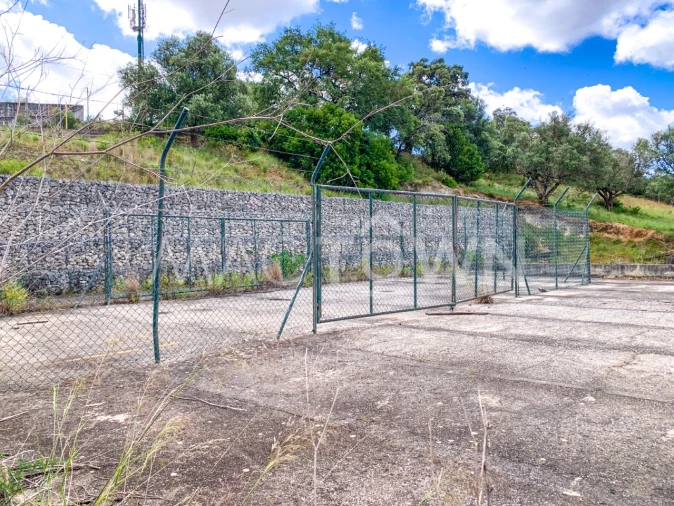 Terreno para Venda em Alcanena e Vila Moreira Foto 16