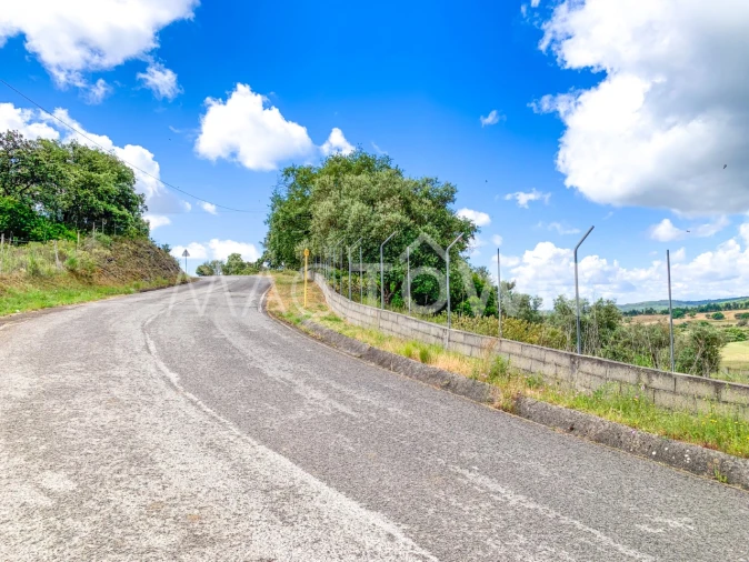 Terreno para Venda em Alcanena e Vila Moreira Foto 21