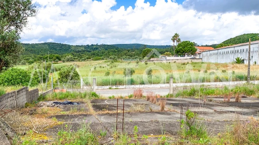 Terreno para Venda em Alcanena e Vila Moreira