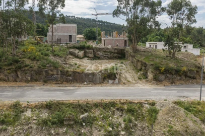 Terreno para Venda em Ruivães e Novais