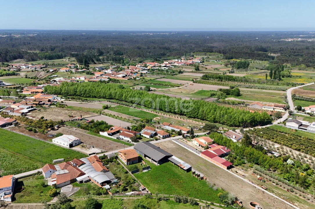 Terreno Comércio / Armazém para Venda em Covões e Camarneira Foto 12