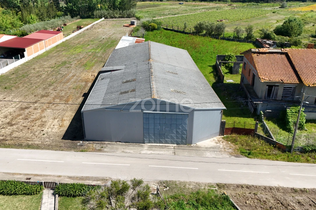 Terreno Comércio / Armazém para Venda em Covões e Camarneira Foto 1