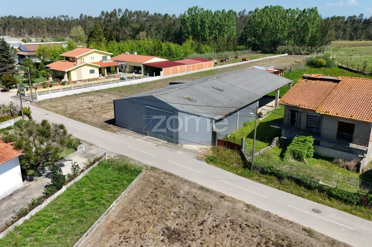 Terreno Comércio / Armazém para Venda em Covões e Camarneira Foto 5