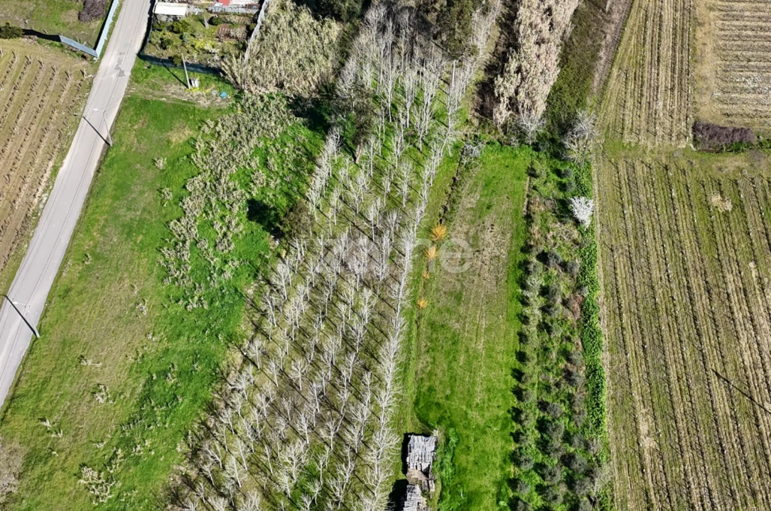 Terreno para Venda em Amoreira da Gândara, Paredes do Bairro e Ancas Foto 2