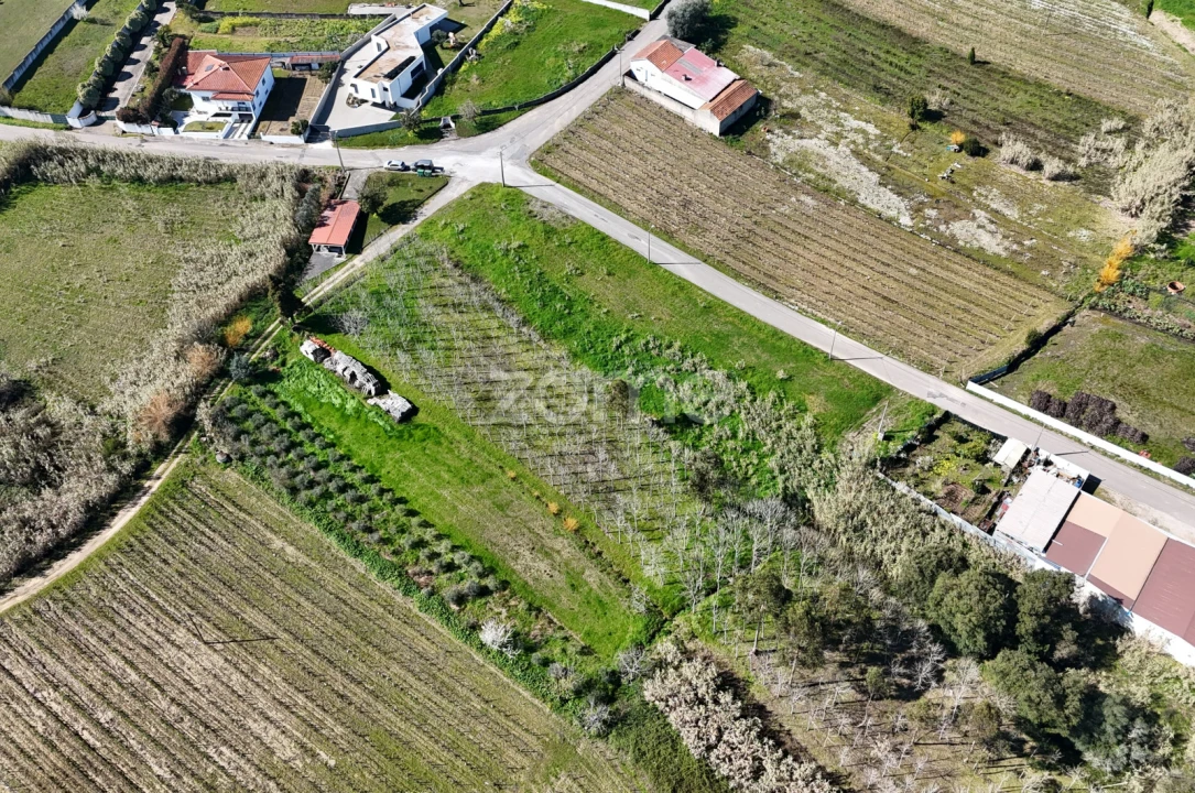 Terreno para Venda em Amoreira da Gândara, Paredes do Bairro e Ancas Foto 4
