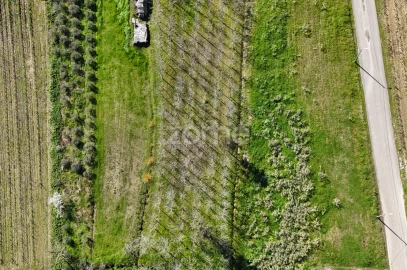 Terreno para Venda em Amoreira da Gândara, Paredes do Bairro e Ancas