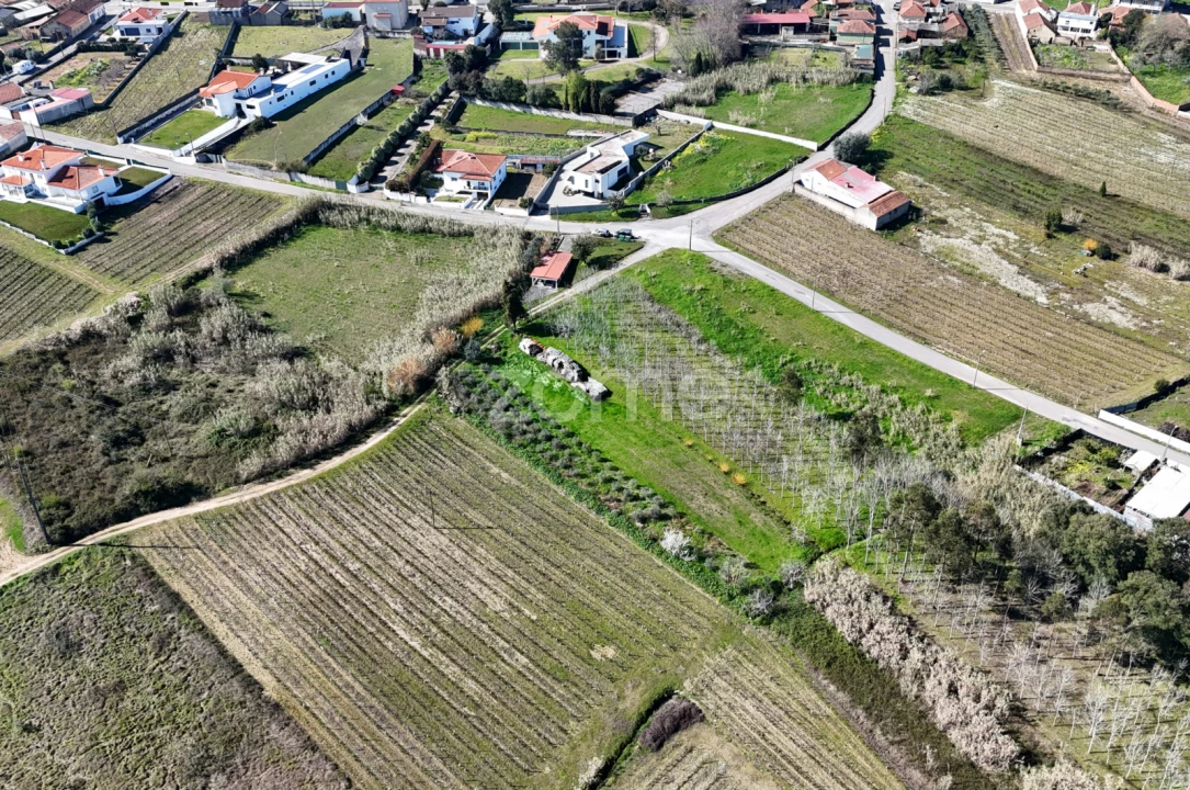 Terreno para Venda em Amoreira da Gândara, Paredes do Bairro e Ancas Foto 8