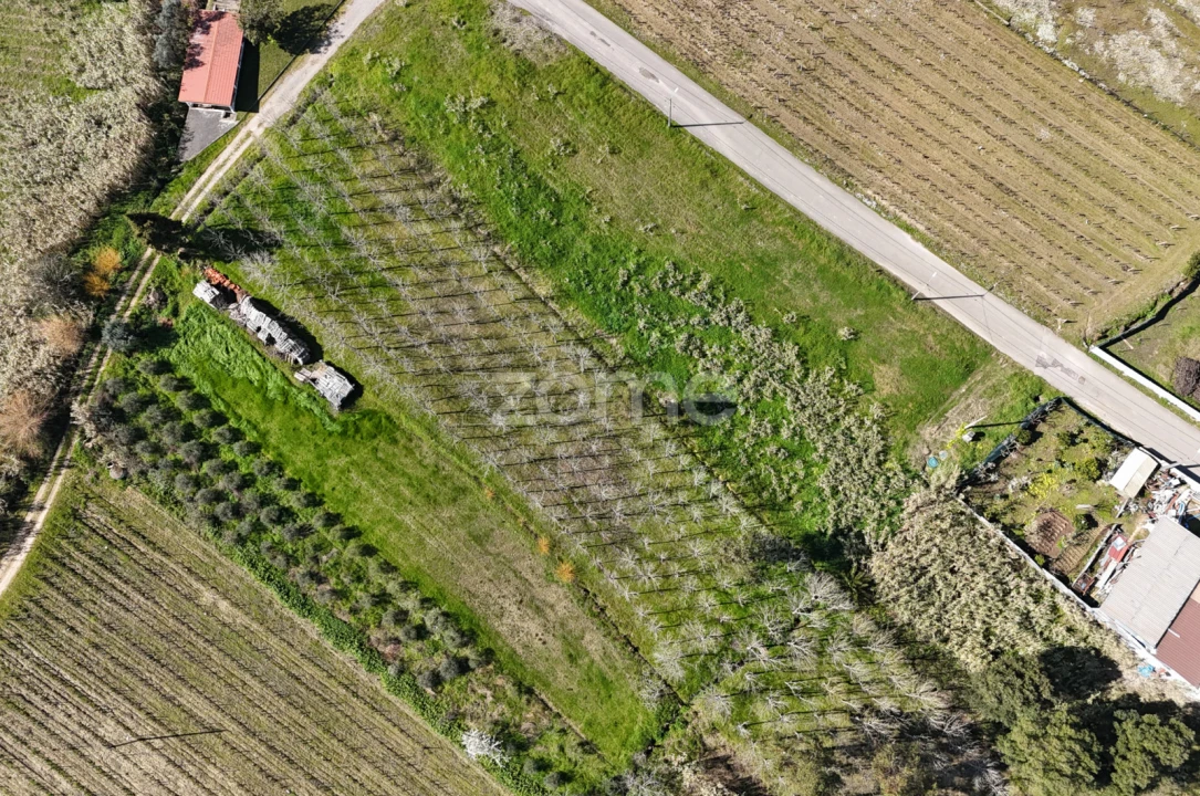 Terreno para Venda em Amoreira da Gândara, Paredes do Bairro e Ancas Foto 12