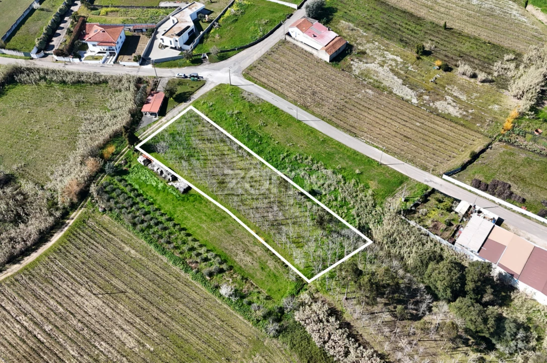 Terreno para Venda em Amoreira da Gândara, Paredes do Bairro e Ancas Foto 1