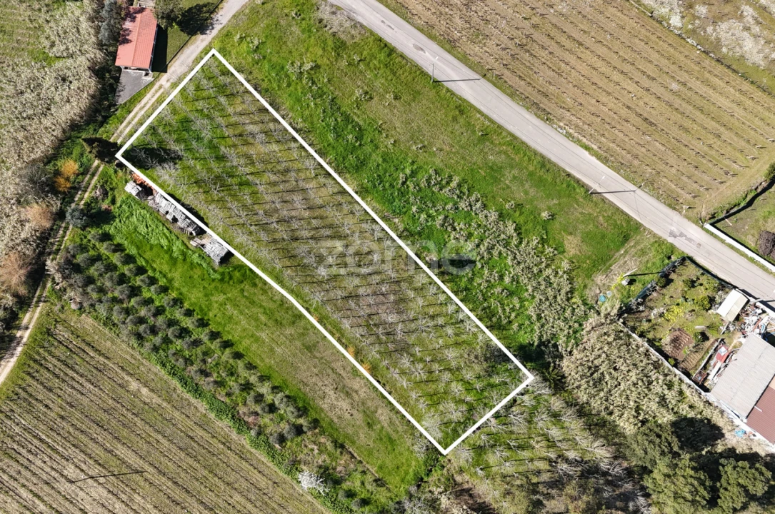 Terreno para Venda em Amoreira da Gândara, Paredes do Bairro e Ancas Foto 7
