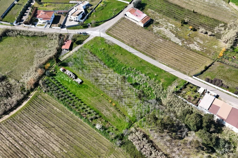Terreno para Venda em Amoreira da Gândara, Paredes do Bairro e Ancas Foto 4