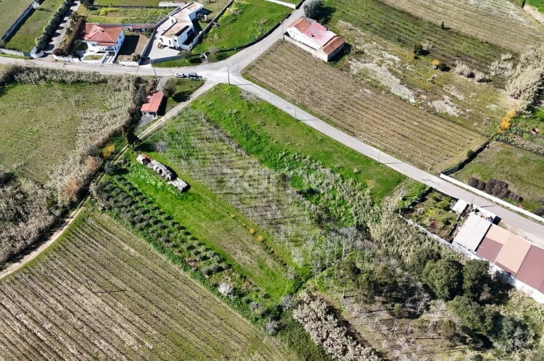 Terreno para Venda em Amoreira da Gândara, Paredes do Bairro e Ancas Foto 11