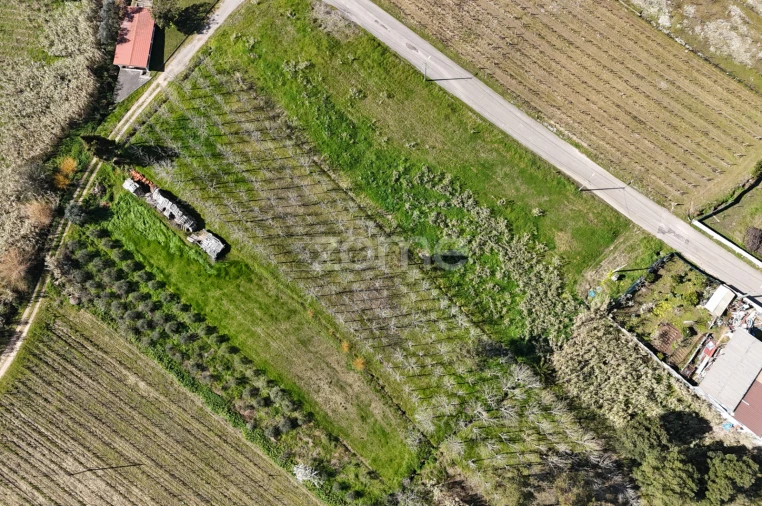 Terreno para Venda em Amoreira da Gândara, Paredes do Bairro e Ancas Foto 12