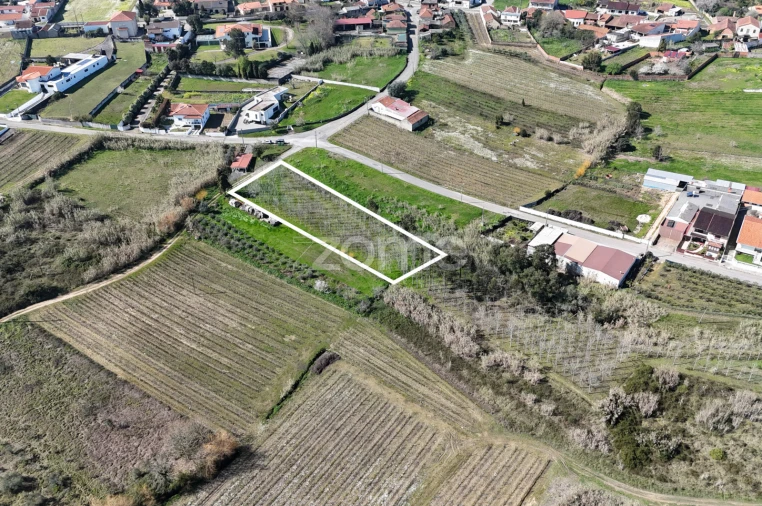 Terreno para Venda em Amoreira da Gândara, Paredes do Bairro e Ancas Foto 6