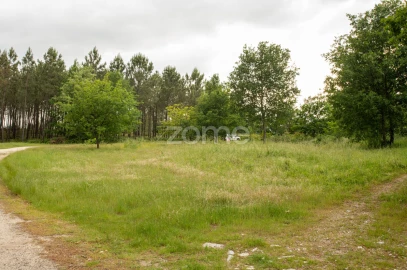 Terreno para Venda em Santiago
