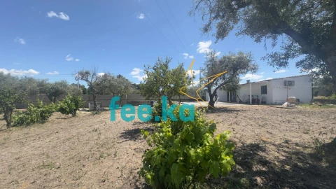 Quinta para Venda em Lardosa