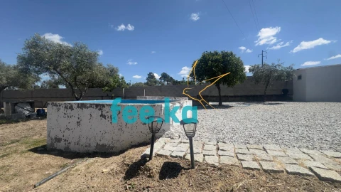 Quinta para Venda em Lardosa