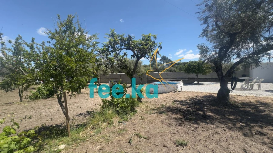 Quinta para Venda em Lardosa Foto 10