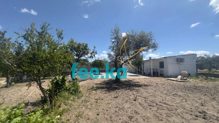 Quinta para Venda em Lardosa Foto 15