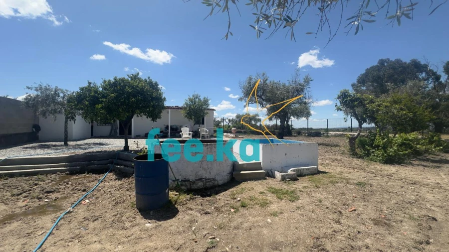Quinta para Venda em Lardosa Foto 20