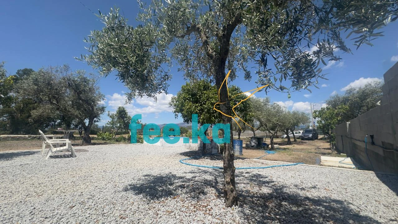 Quinta para Venda em Lardosa Foto 2