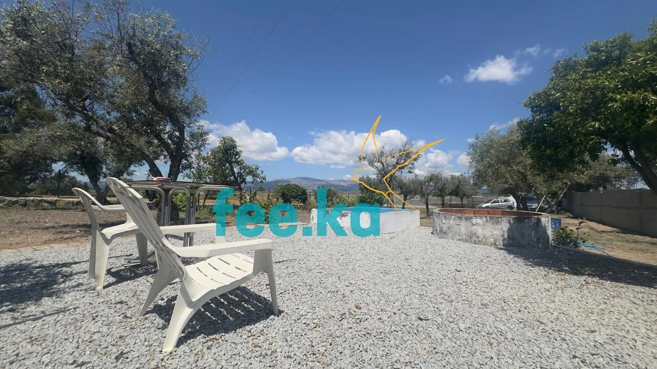 Quinta para Venda em Lardosa Foto 5